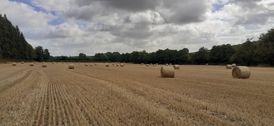 Whittern valley - JA from Leominstrer